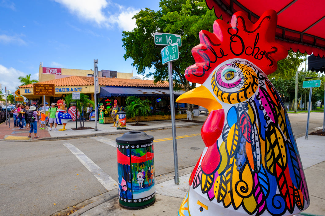 Miami City, Little Havana Tour plus a FREE Bicycle Rental in South Beach